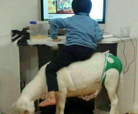 عکس های خنده دار جدید ۱۴۰۰
