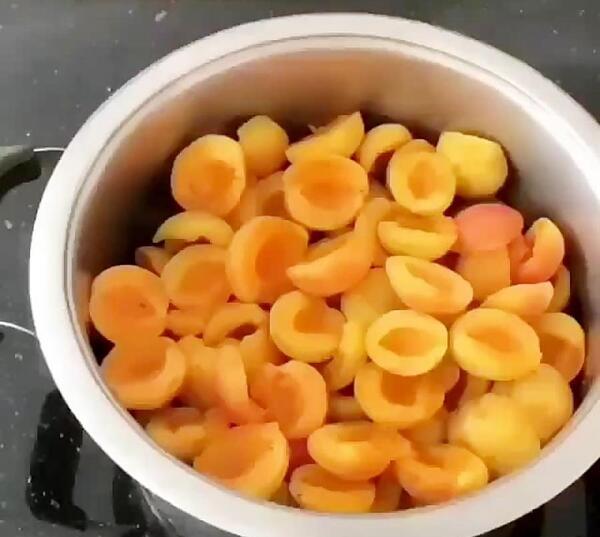 عکس لواشک زردآلو