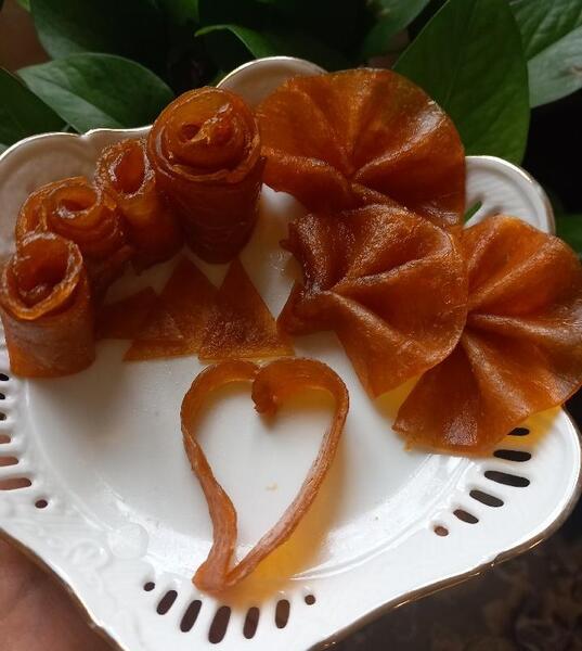 عکس لواشک زردآلو