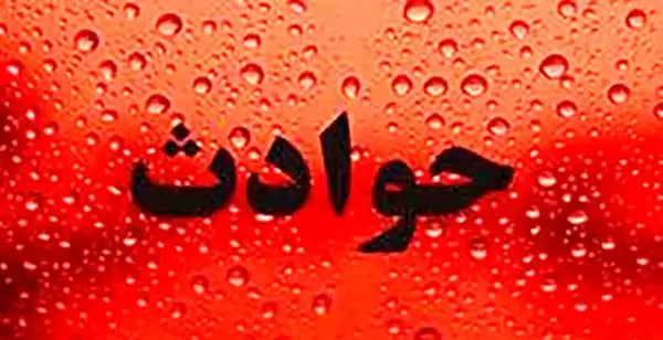 عکس جدید سمیه شهبازی نیا شاهرخ وثوق