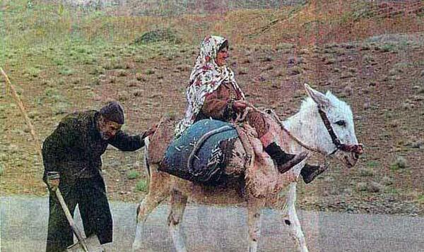 عکس عشقی افغانستان