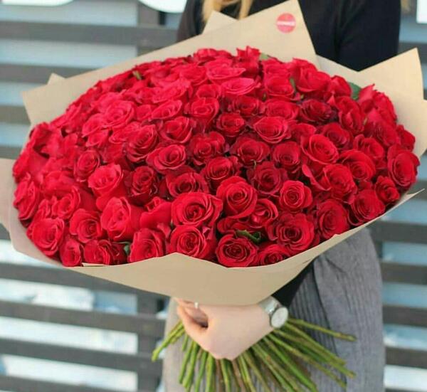 عکس توی تیبا