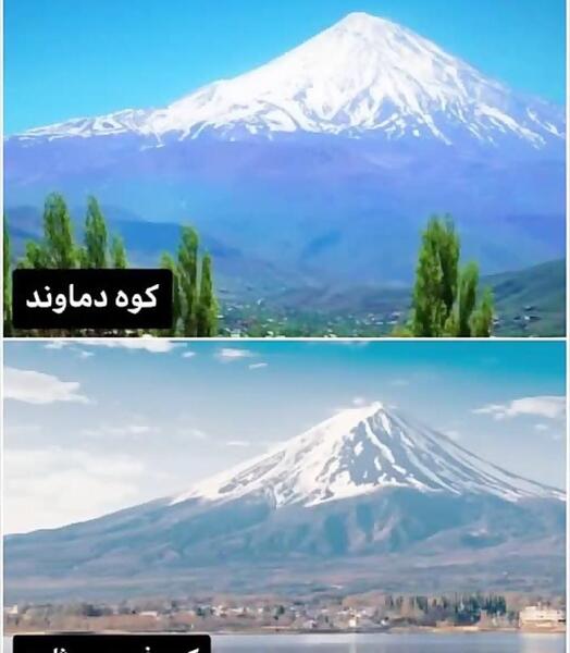 عکس عقرب جهنمی