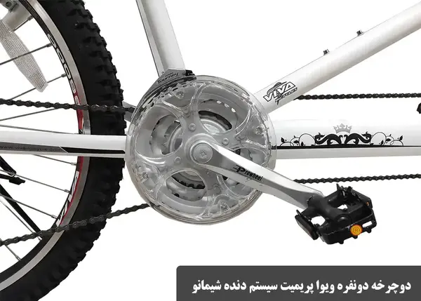 عکس دوچرخه دونفره