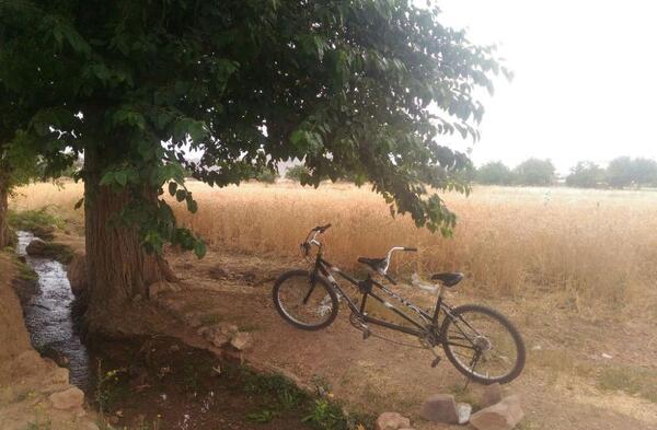 عکس دوچرخه دونفره