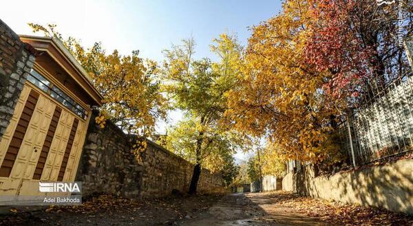 عکس بوت پاییزی