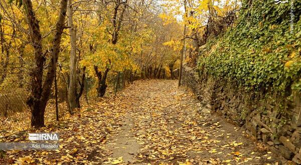 عکس بوت پاییزی