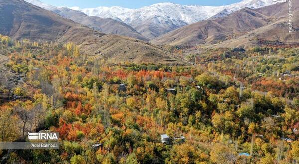 عکس بوت پاییزی