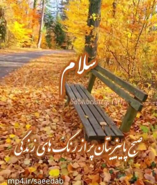 عکس بوت پاییزی