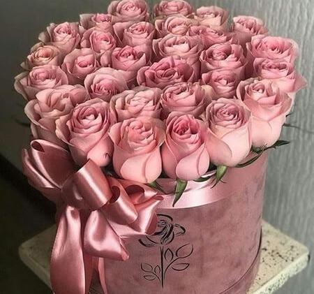عکس گل و شیرینی مراسم خواستگاری