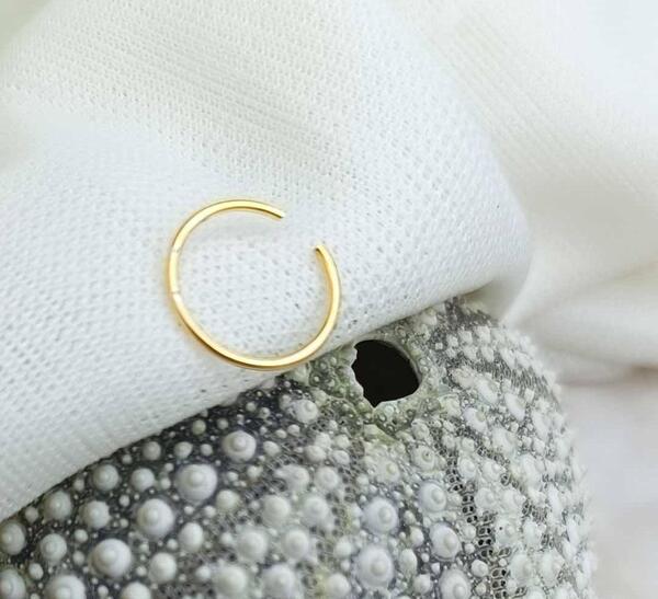 عکس پیرسینگ حلقه ای بینی