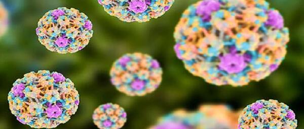 عکس ویروس اچ پی وی