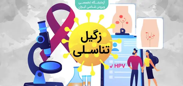 عکس ویروس اچ پی وی