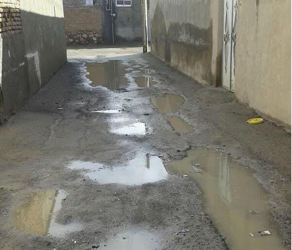 عکس پرستو یاوری