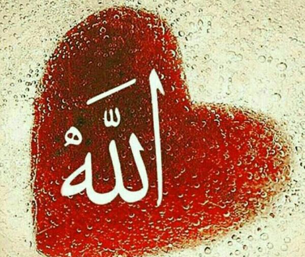 عکس زیبا فقط خدا