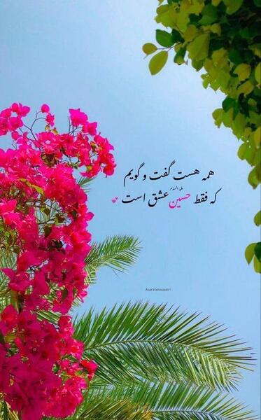 عکسهای ولادت امام حسین علیه السلام