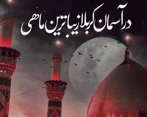 عکسهای ولادت امام حسین علیه السلام