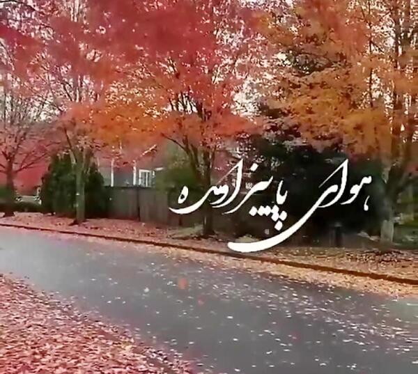 عکس استوری هوای پاییز