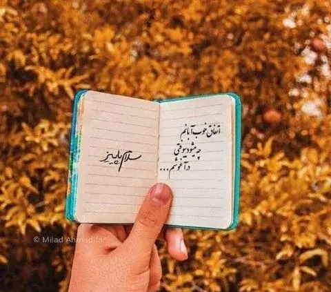 عکس استوری هوای پاییز