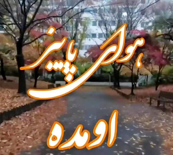 عکس استوری هوای پاییز