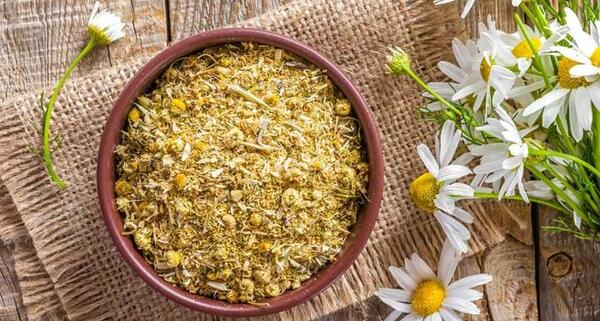 عکس گل پاپاتیا