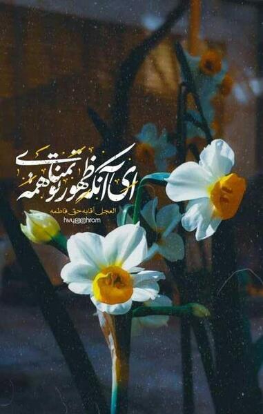 دانلود عکس ظهور امام زمان