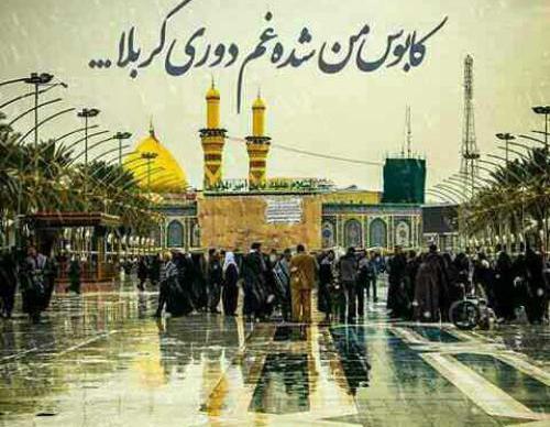 عکس گریه در بین الحرمین