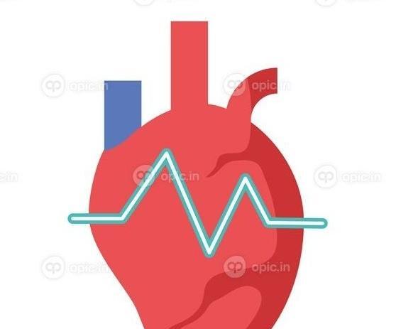عکس دانلود وکتور ضربان قلب