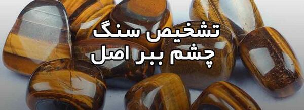 عکس چشم ببر