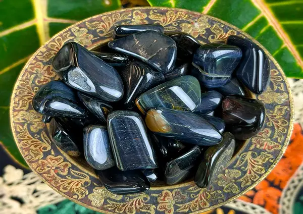 عکس چشم ببر
