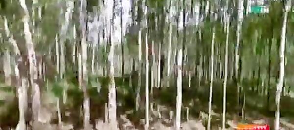 عکس همسر جدید صلاح خضری