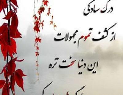عکس نوشته با بعضیا باید مثل خودشون رفتار کرد