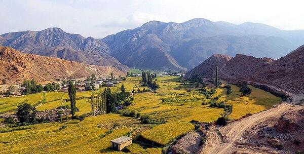 عکس بهاره موسوی
