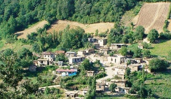 عکس بهاره موسوی