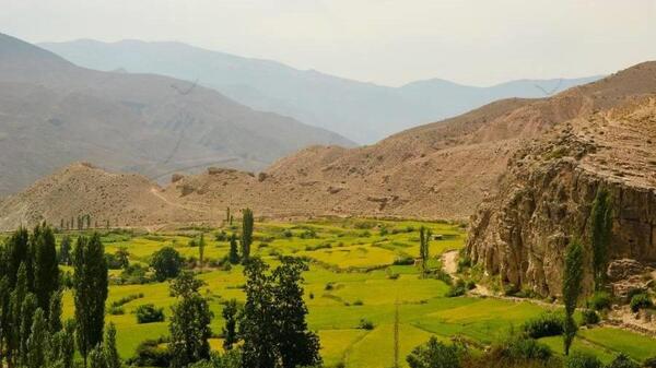عکس بهاره موسوی