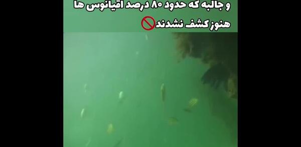 پری دریایی عکس پری دریایی واقعی