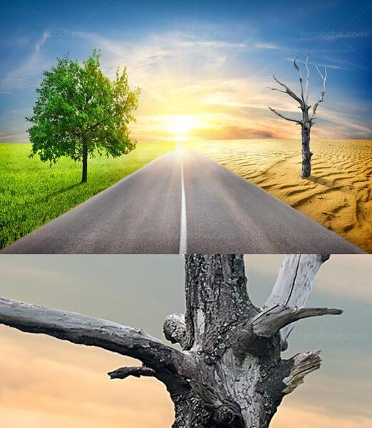 عکس مفهومی علمی