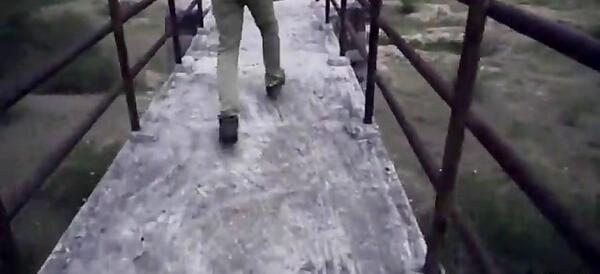 عکس عنکبوت سیاه بزرگ