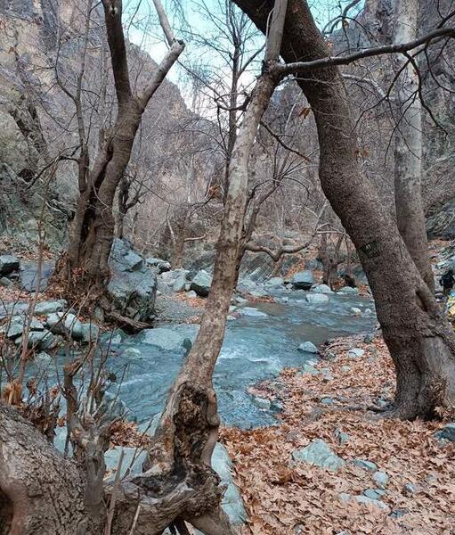 عکس سیزده بدر نی نی سایت