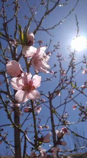 عکس سیزده بدر نی نی سایت