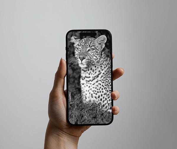 عکس پس زمینه موبایل