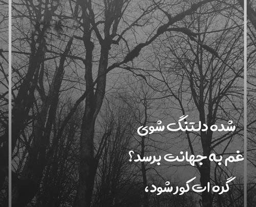 عکس نوشته شده دلتنگ شوی غم به جهانت برسد