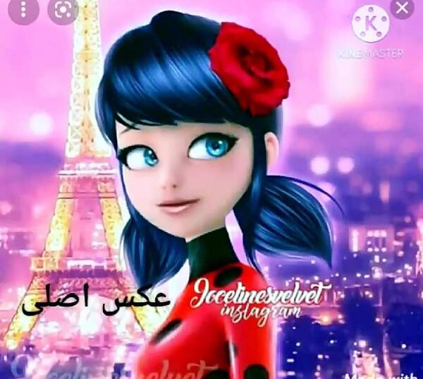 عکس مرینت و آدرین طنز