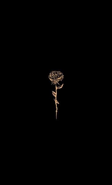 عکس مشکی کیوت