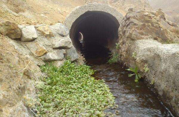 عکس باحال فلسفی