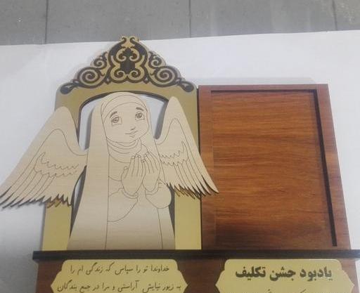 عکس نمایندگی دلسی