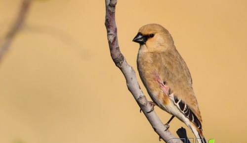 عکس ظهر تابستان