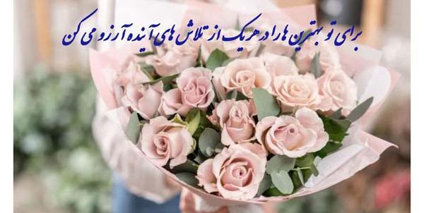 عکس نوشته رنو