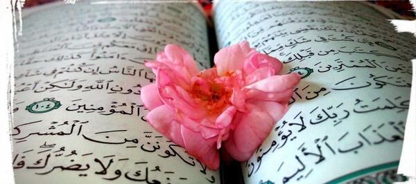 عکس قرآن برای استوری