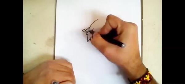 عکس کت نوار برای نقاشی